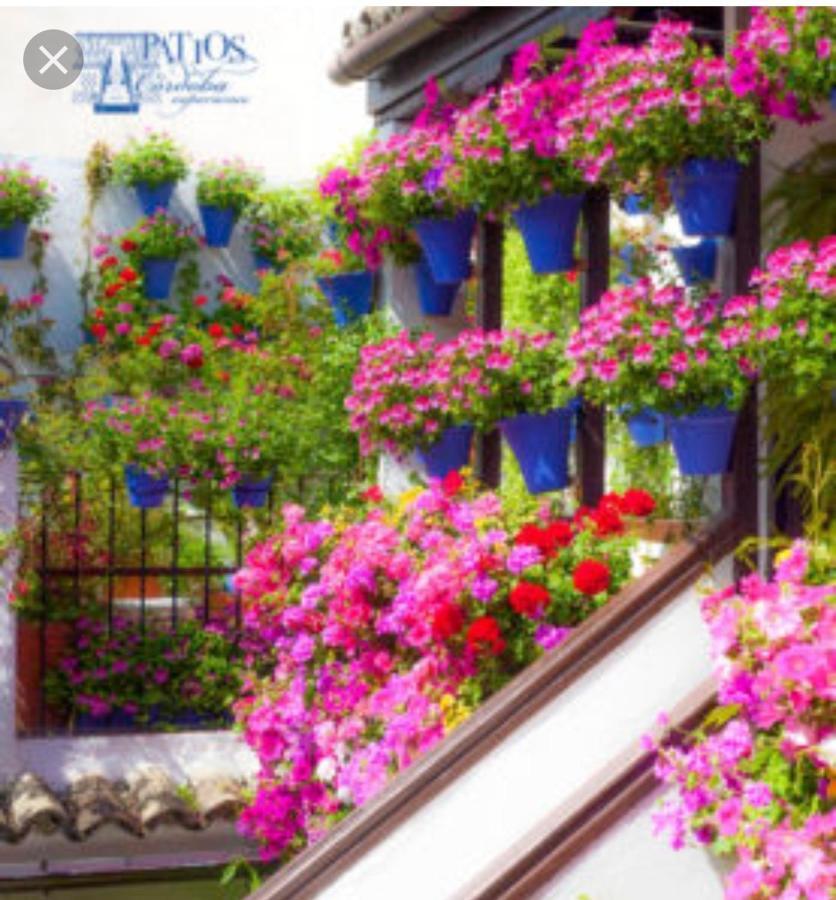 A 20 Metros De La Mezquita Catedral ,Apartamentos Turistico Cespedes 5 코르도바 외부 사진