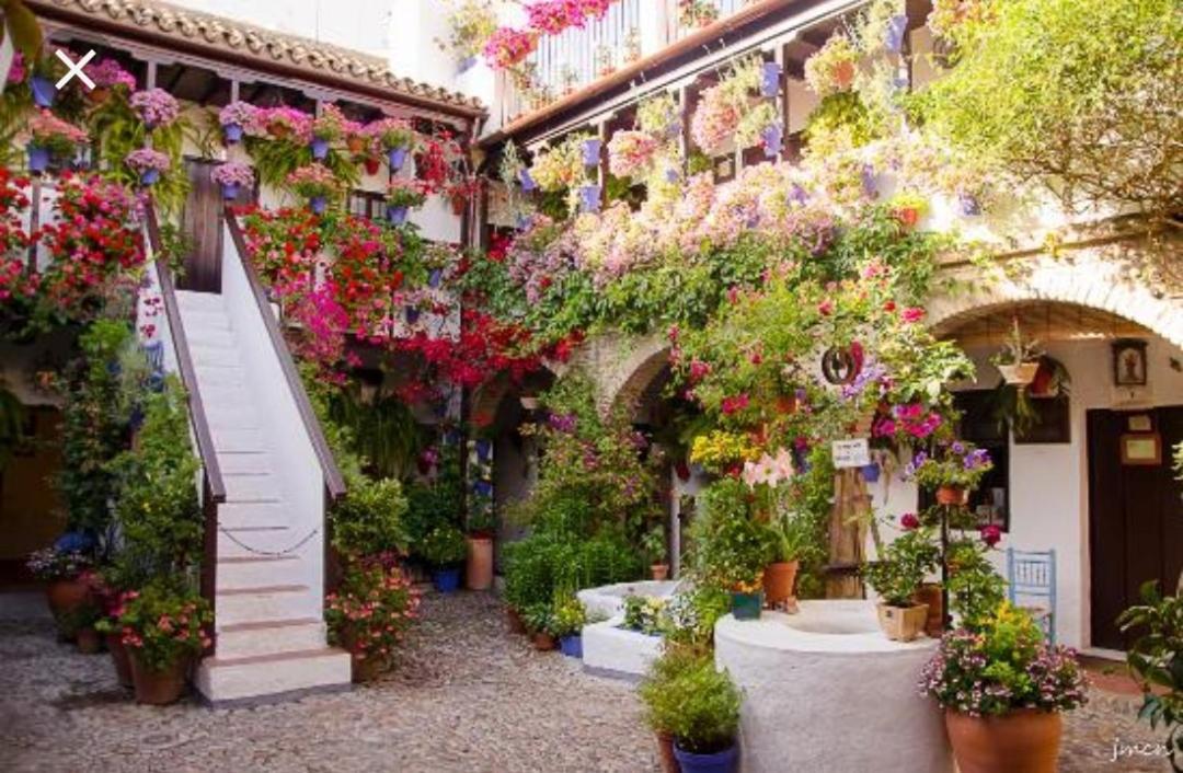 A 20 Metros De La Mezquita Catedral ,Apartamentos Turistico Cespedes 5 코르도바 외부 사진