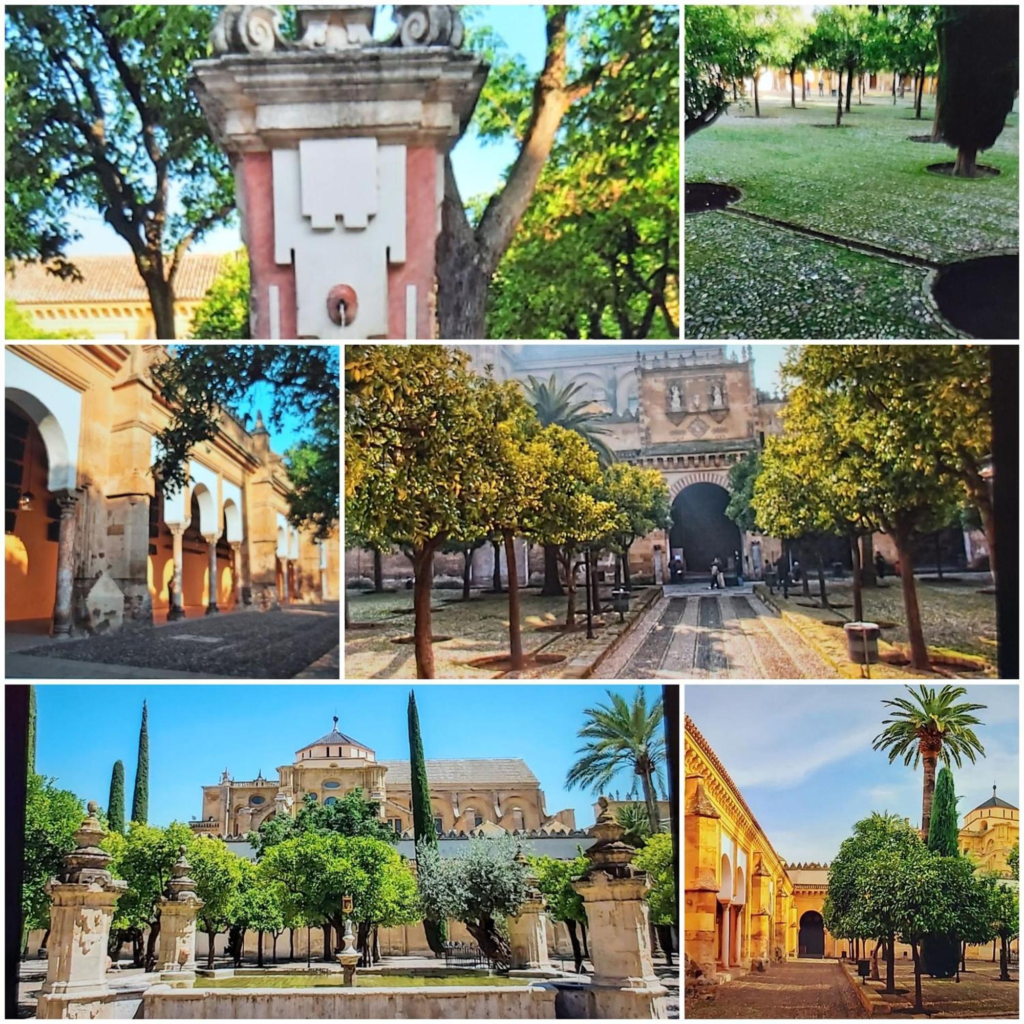A 20 Metros De La Mezquita Catedral ,Apartamentos Turistico Cespedes 5 코르도바 객실 사진