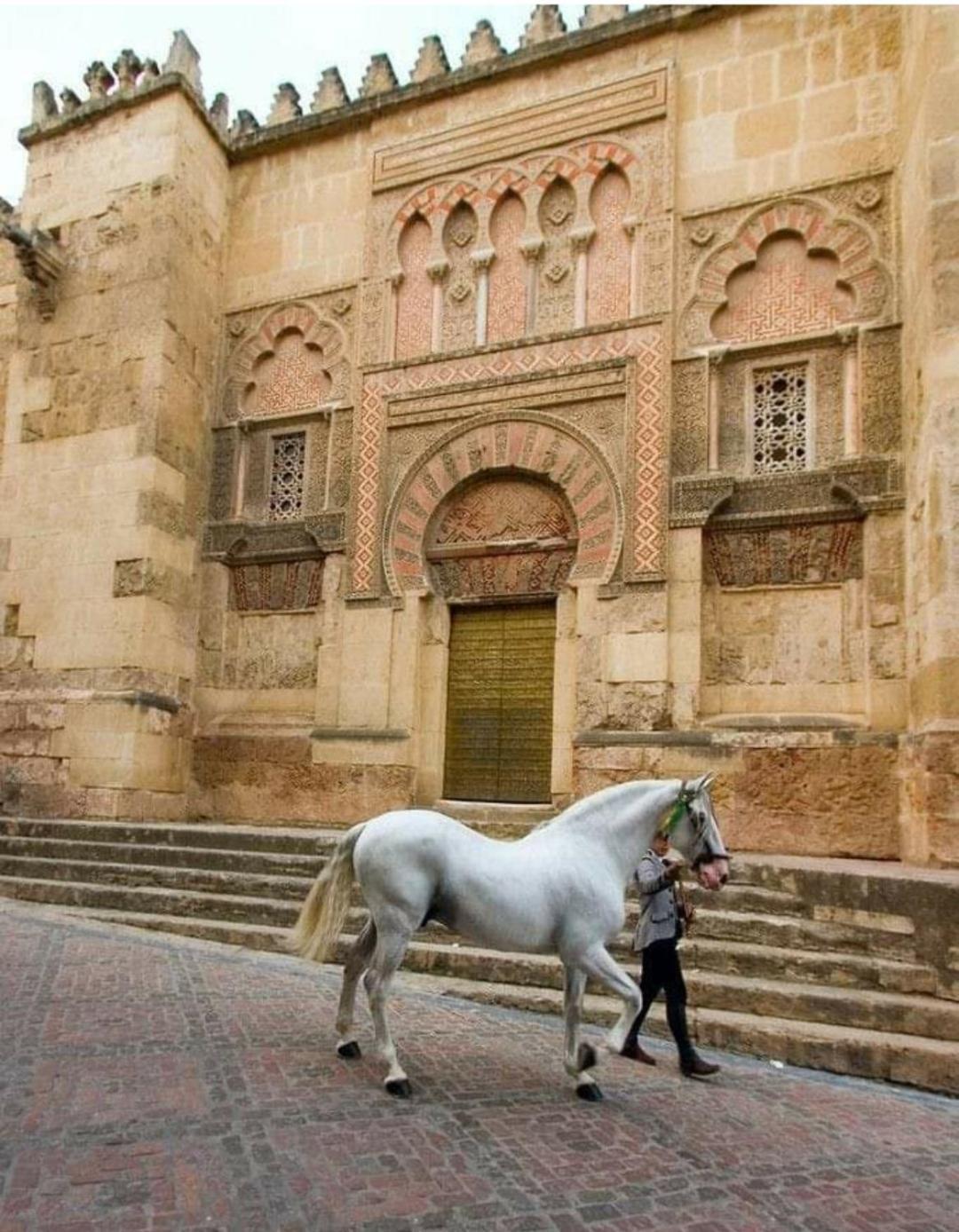 A 20 Metros De La Mezquita Catedral ,Apartamentos Turistico Cespedes 5 코르도바 객실 사진