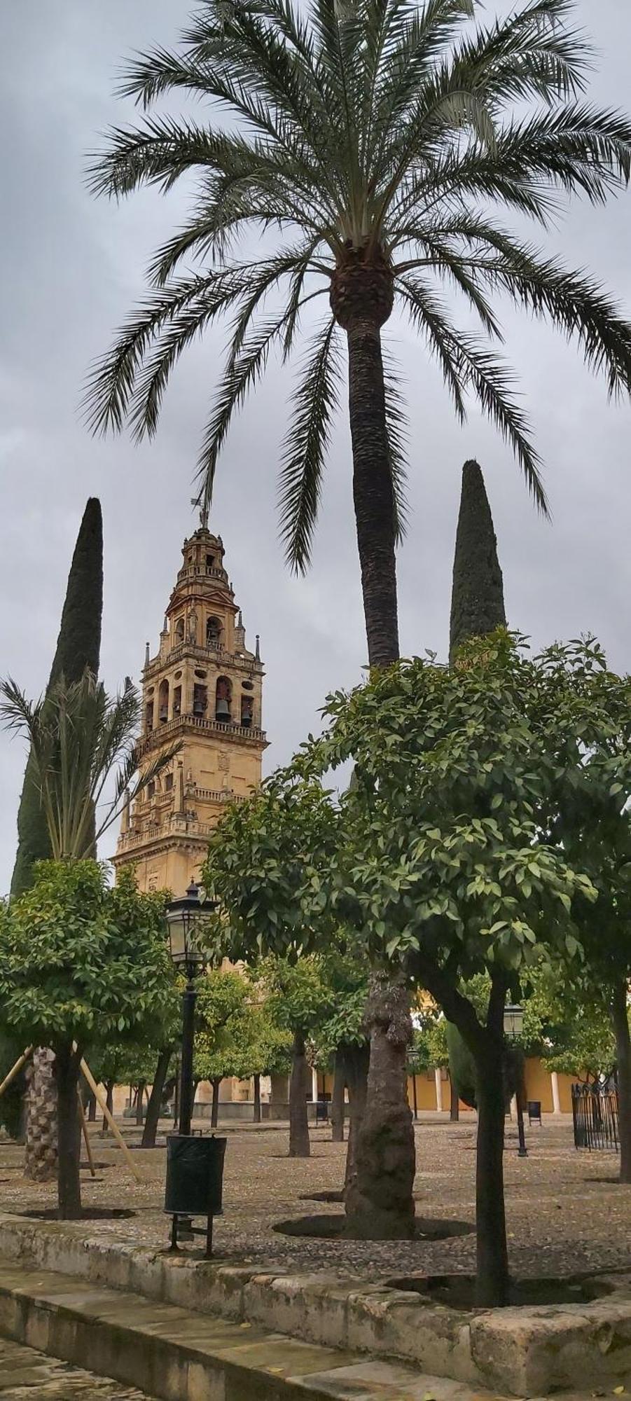 A 20 Metros De La Mezquita Catedral ,Apartamentos Turistico Cespedes 5 코르도바 객실 사진